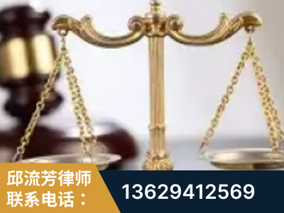 虎林-委托诉讼代理人出庭